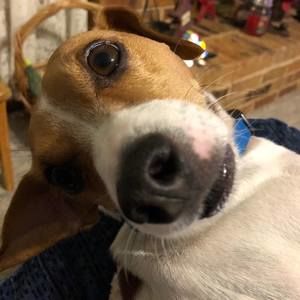 Meet your Posher, Jan